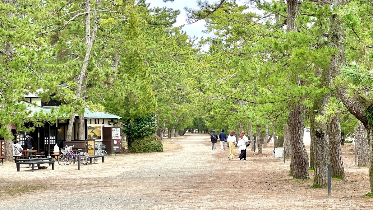 Pine Grove