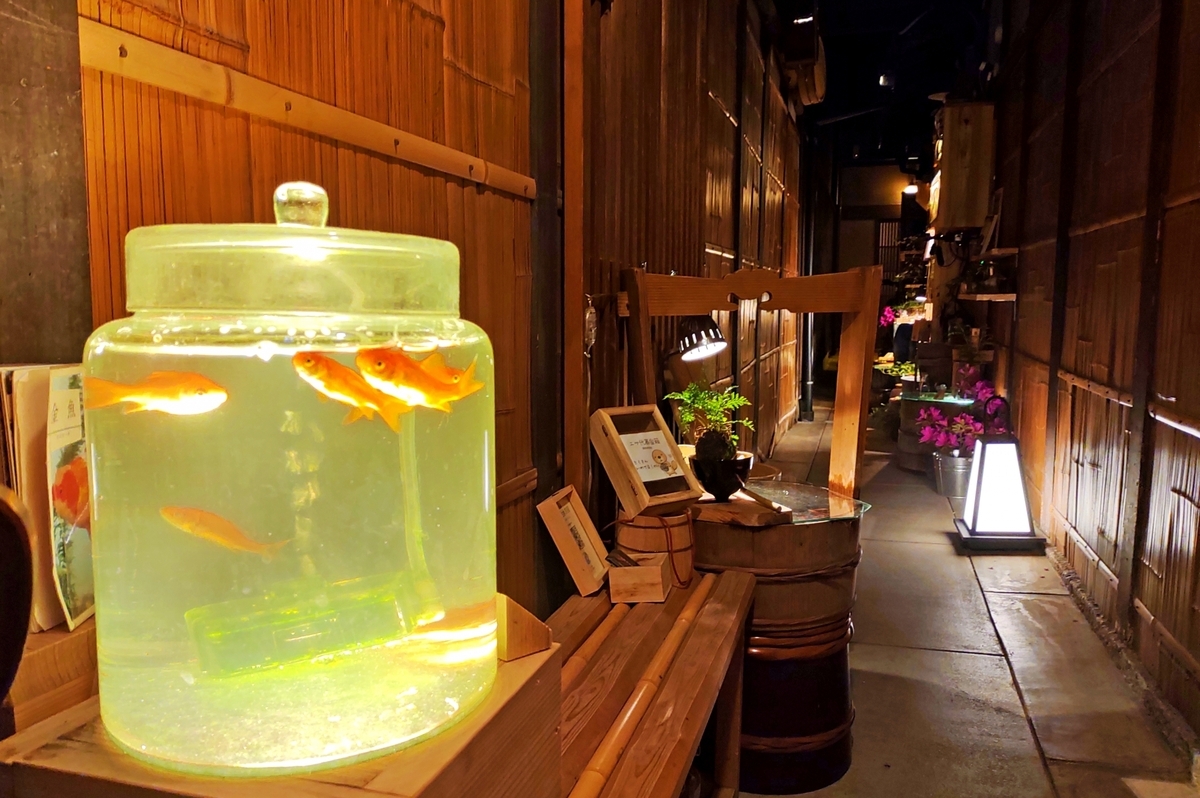 Pontocho at night