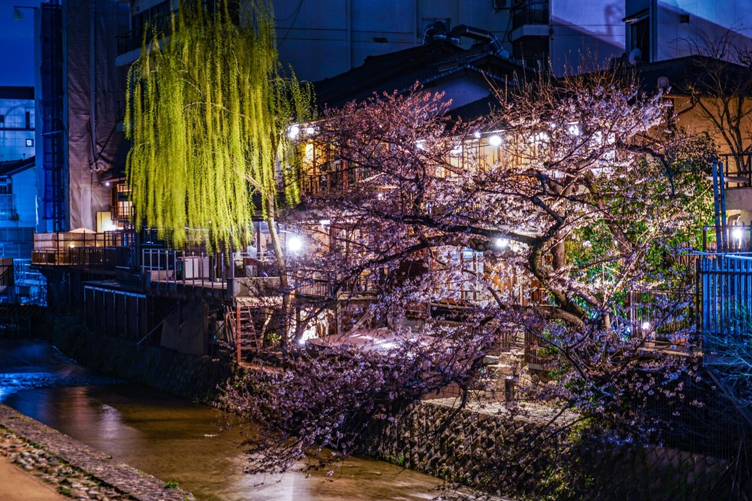 Pontocho