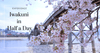 Experience Iwakuni in Half a Day: A Walking Tour Guide to Japan's Historic Bridge Town and Castle