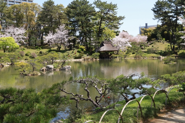 벚꽃과 일본 정원