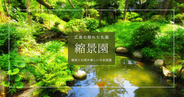 美しさにうっとり！広島の隠れた名園『縮景園』 | 四季折々の日本庭園と歴史を味わう観光ガイド