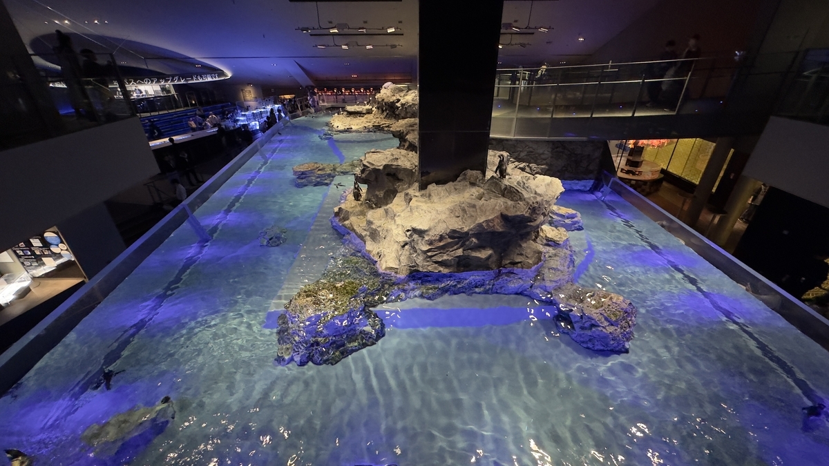 Penguin Pool