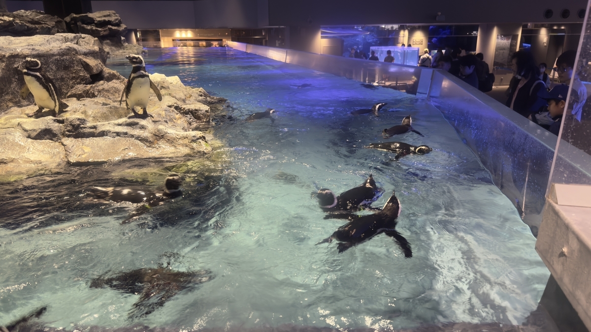 Penguins