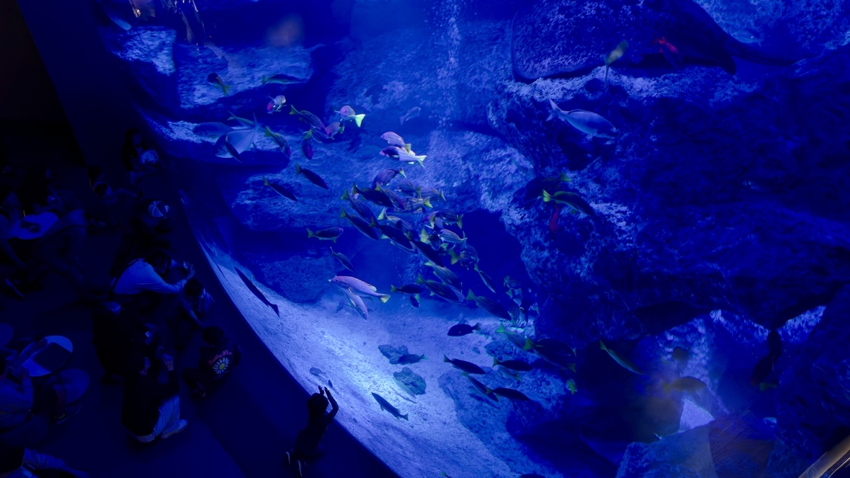 Ogasawara Large Tank