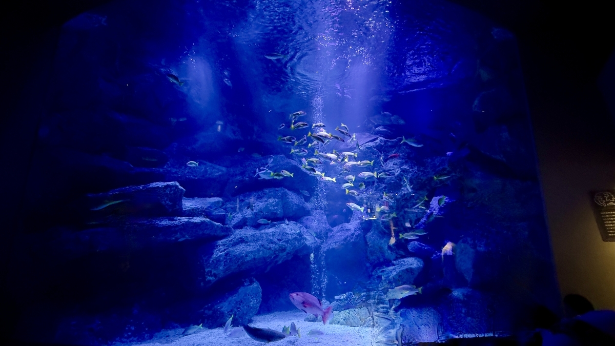 Ogasawara Large Tank
