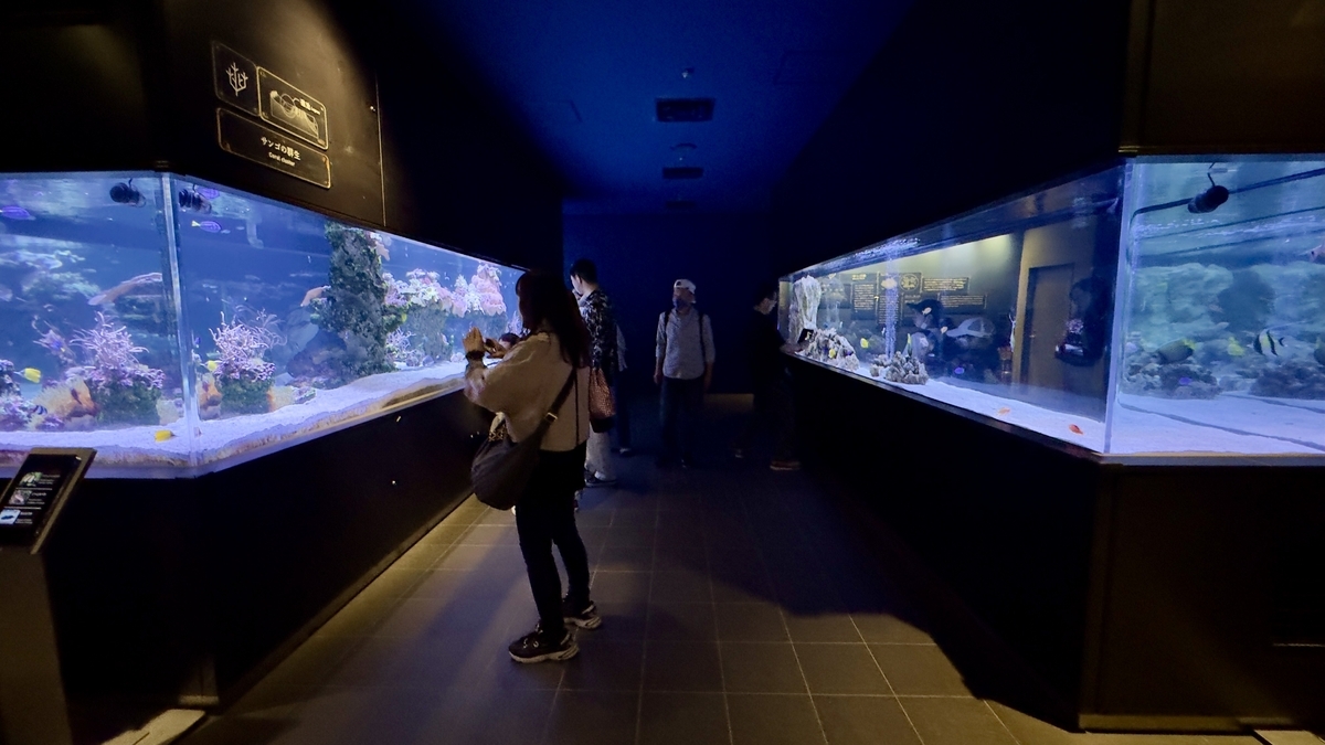 Coral Reef Area