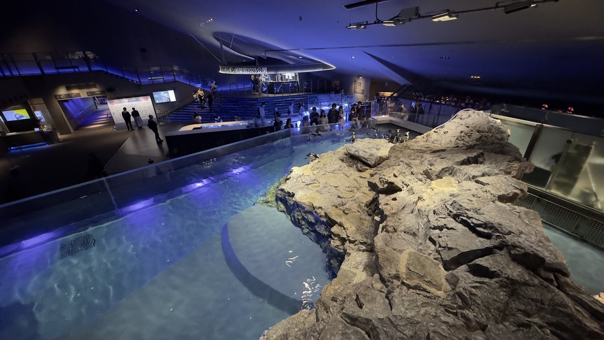Aquarium Interior