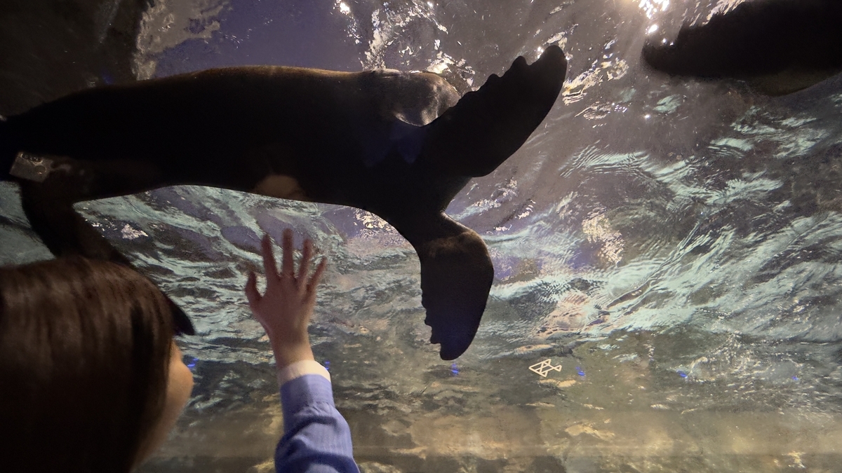 Aquarium Interior