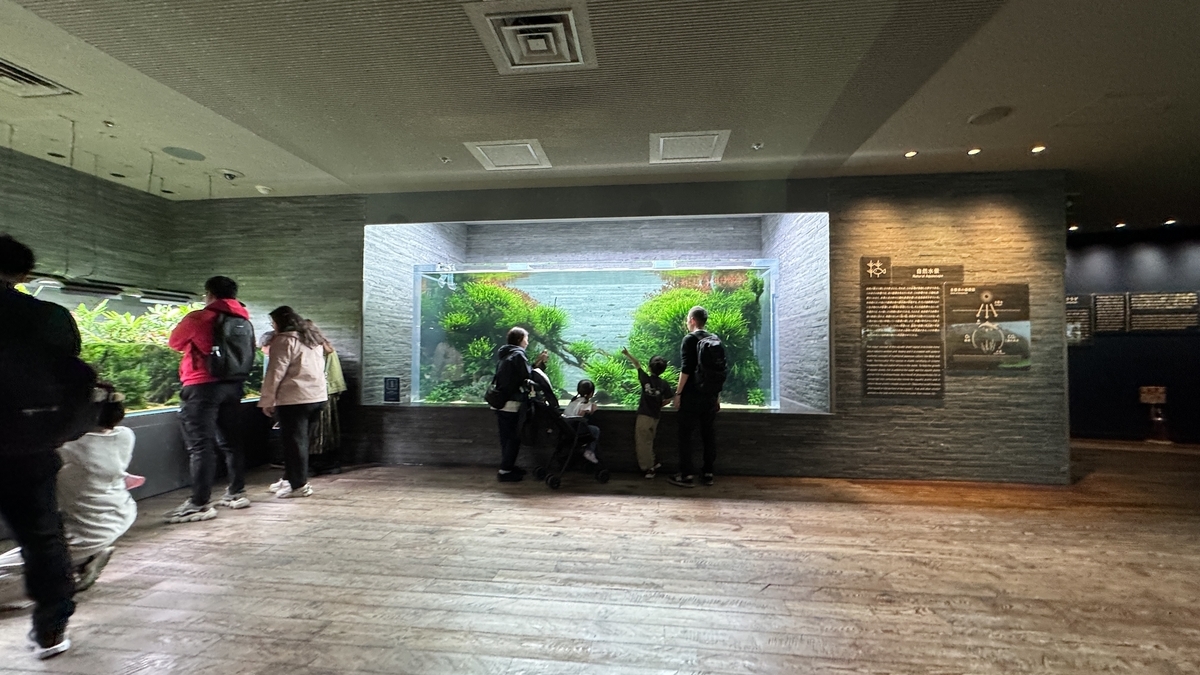 Aquarium Interior