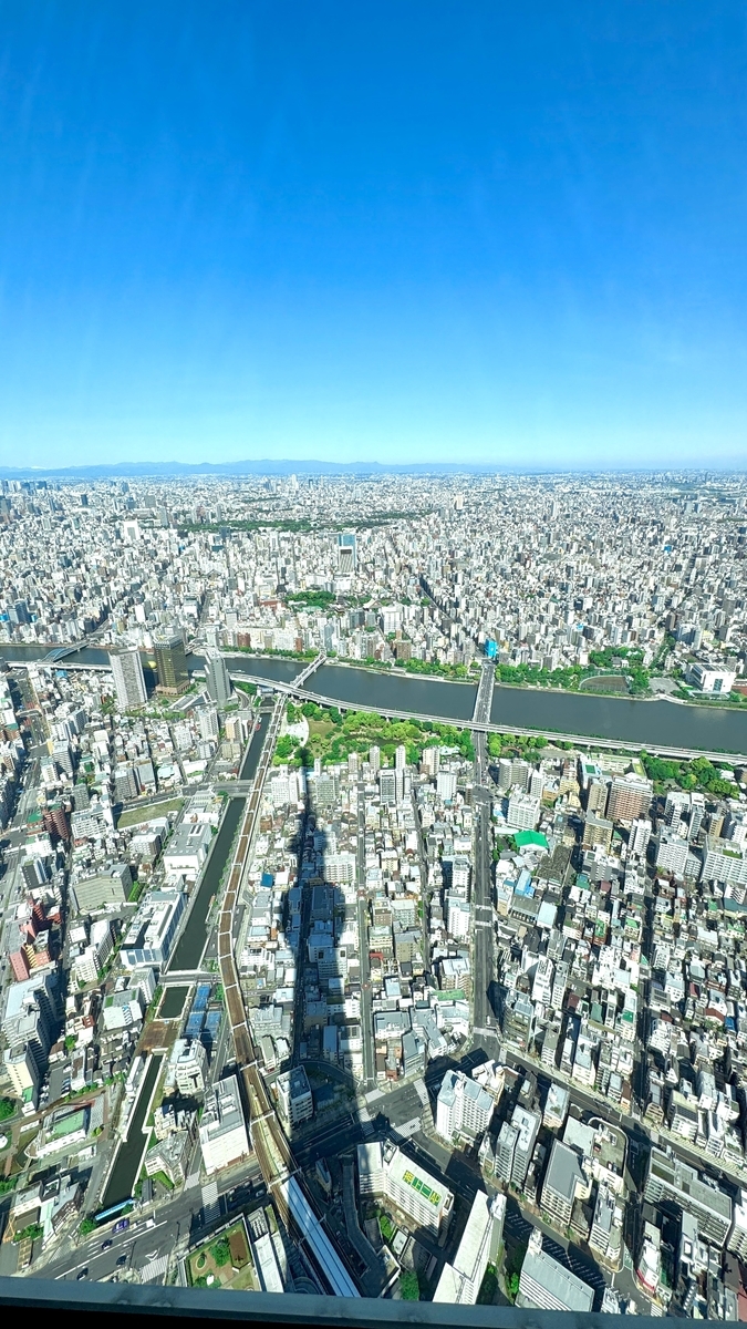 スカイツリーの影