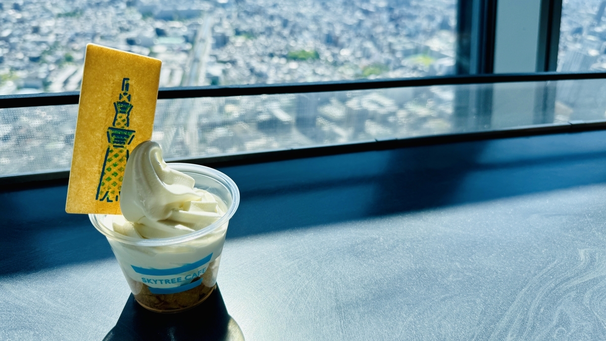 スカイソフト