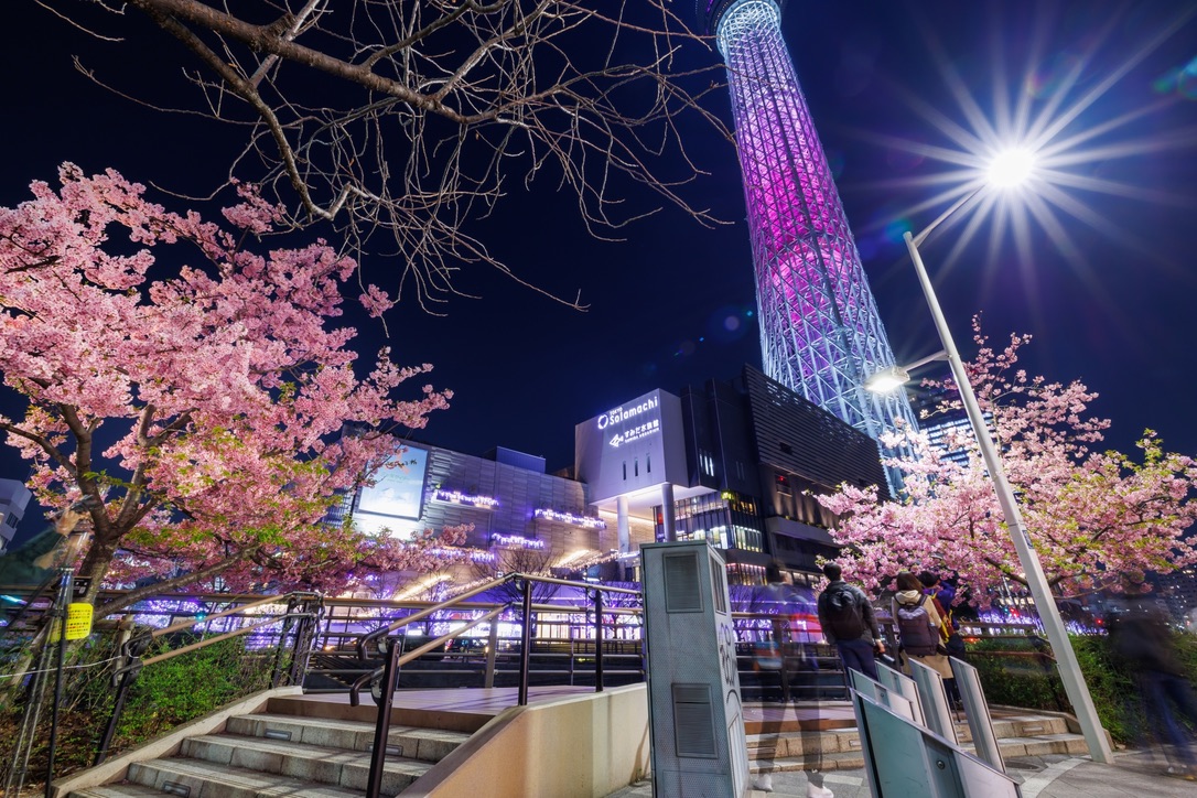 東京スカイツリーのライトアップ