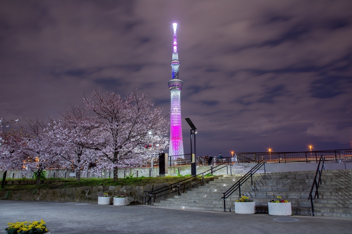 隅田公園からのスカイツリーライトアップ
