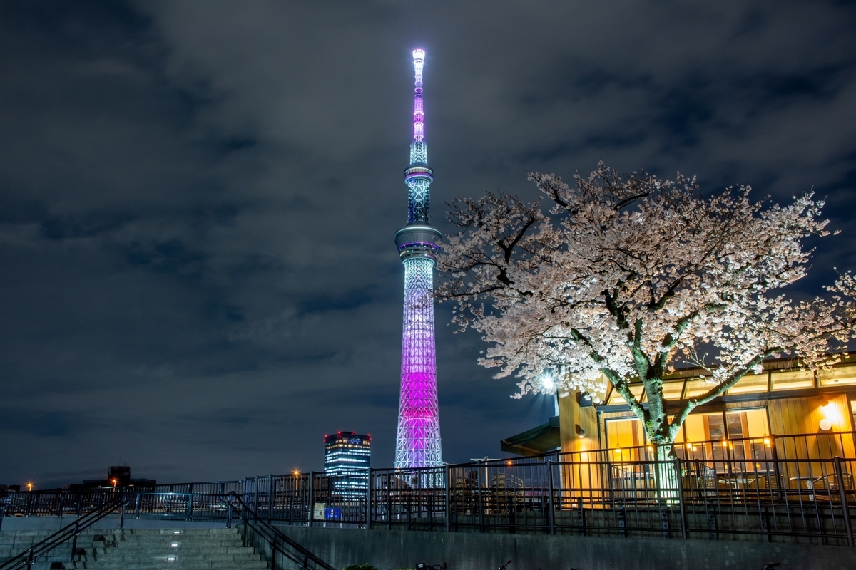 隅田公園からのスカイツリーライトアップ