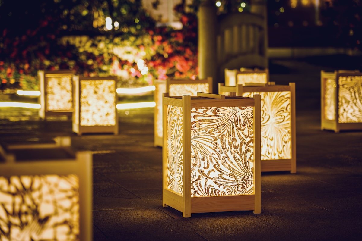 Farolillos iluminados