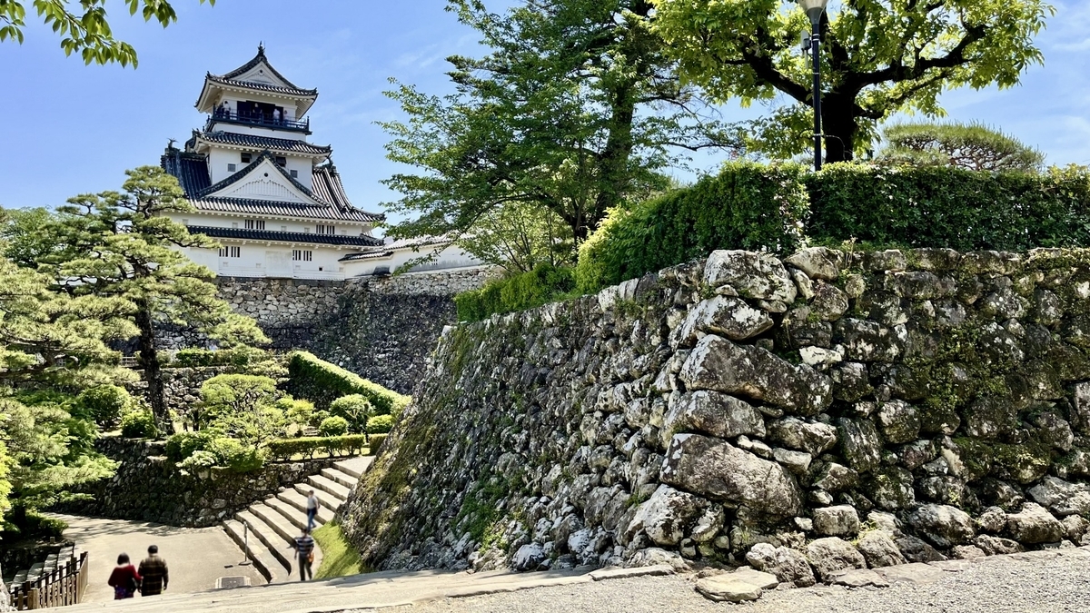 Inside Kochi Castle grounds, with the keep and surrounding stone walls creating a picturesque view.