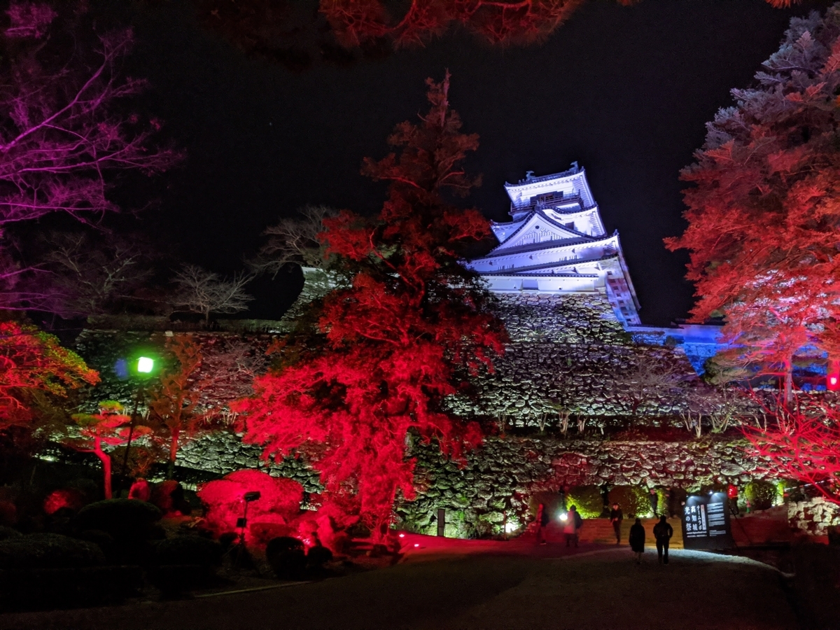 단풍과 라이트업으로 수놓인 밤의 고치성