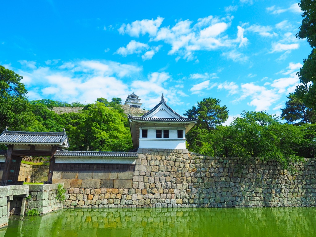 A distant view of Marugame Castle surrounded by stone walls and a water moat. The keep stands under a blue sky.