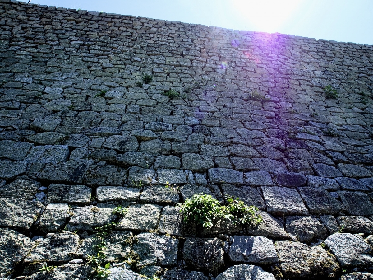 Upward view of Marugame Castle’s stone walls. Carefully processed stones are stacked in an orderly fashion.