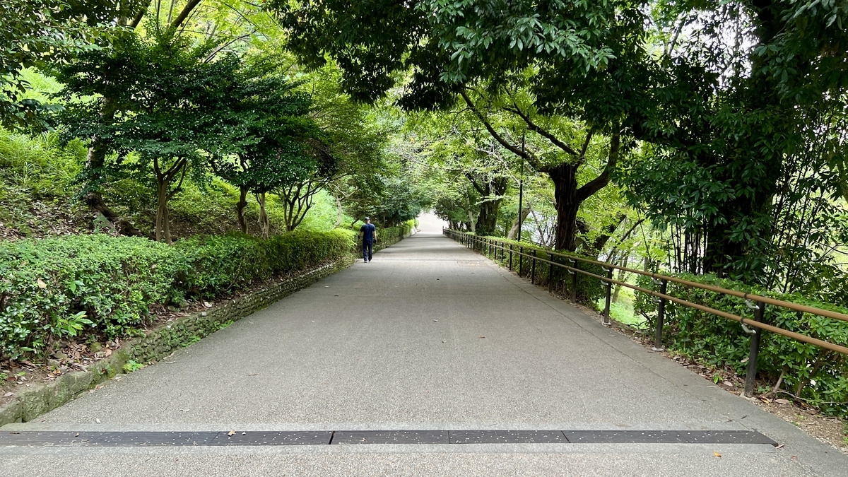 Midway up Mikaeri-zaka, covered by a canopy of trees. A peaceful, gently rising stone path.