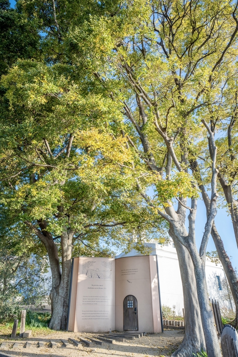 쇼도시마 올리브 공원 큰 나무에 둘러싸인 시작의 책 전경