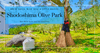 Shodoshima Olive Park: Complete Guide to Photo Spots, Scenic Views, and Local Treats