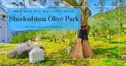 Shodoshima Olive Park: Complete Guide to Photo Spots, Scenic Views, and Local Treats