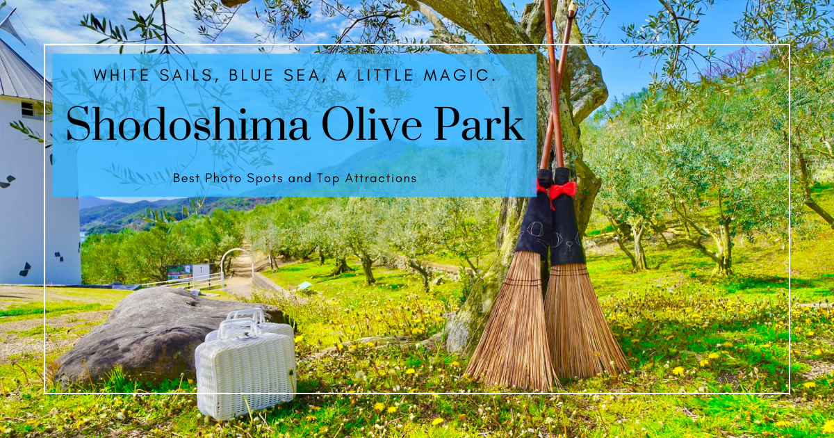Shodoshima Olive Park: Complete Guide to Photo Spots, Scenic Views, and Local Treats
