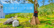 写真映えスポット満載！小豆島オリーブ公園の楽しみ方＆見どころまとめ