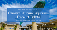 บัตรส่วนลดสำหรับพิพิธภัณฑ์สัตว์น้ำชูราอุมิ โอกินาว่า｜วิธีประหยัดค่าเข้าชมและอาจได้เข้าชมเกือบฟรี