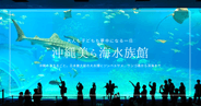 沖縄美ら海水族館見どころガイド|日本最大級の大水槽や無料イルカショー、アクセス情報まで魅力を徹底紹介