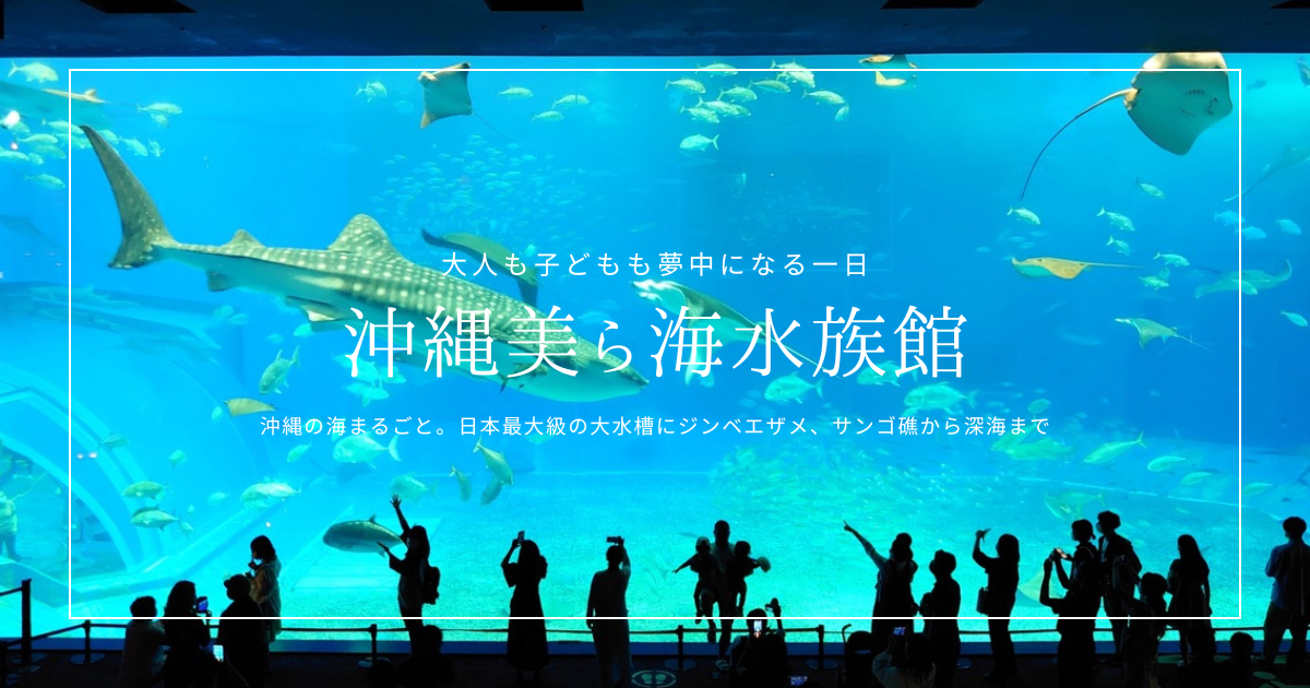 沖縄美ら海水族館見どころガイド｜日本最大級の大水槽や無料イルカショー、アクセス情報まで魅力を徹底紹介