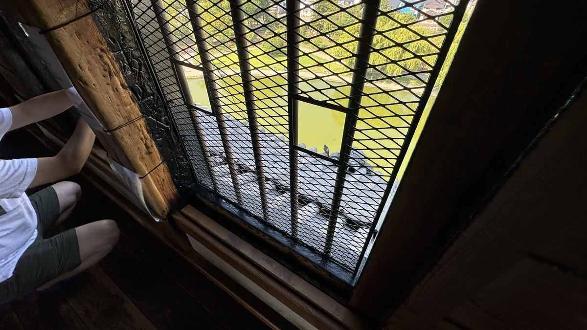 View through lattice windows on the sixth floor looking downward