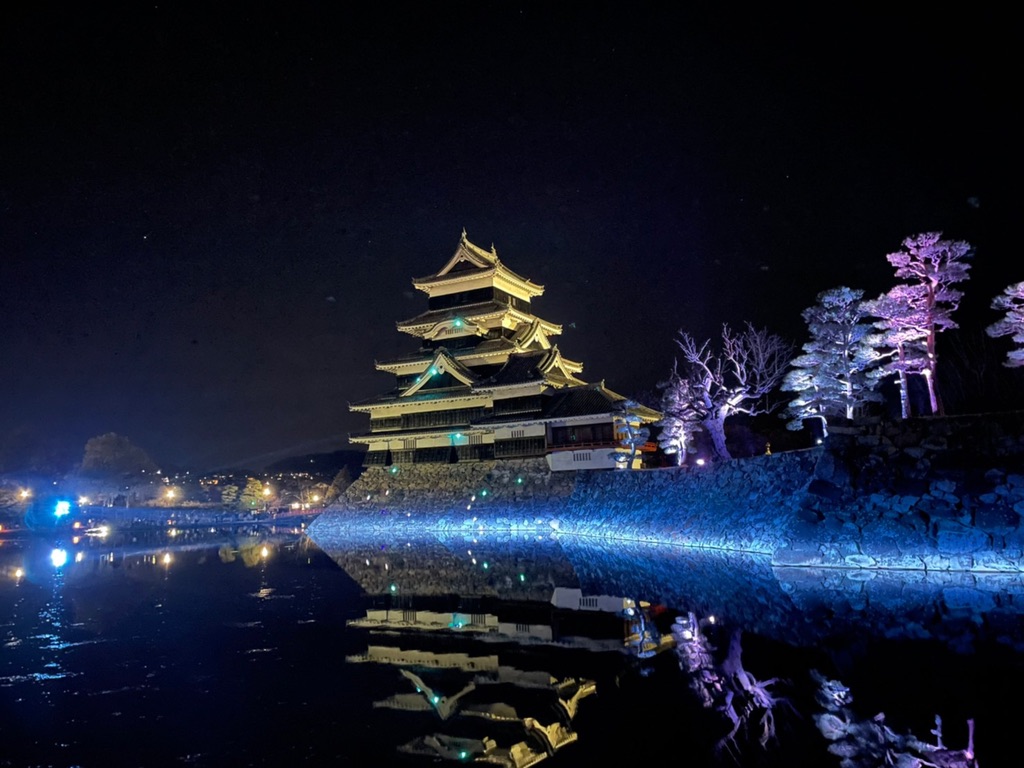 Keep lit up with night sakura in bloom