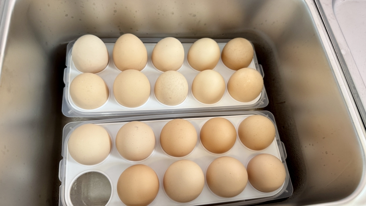 生卵が並ぶトレー ラーメンに落として半熟に仕上げる準備