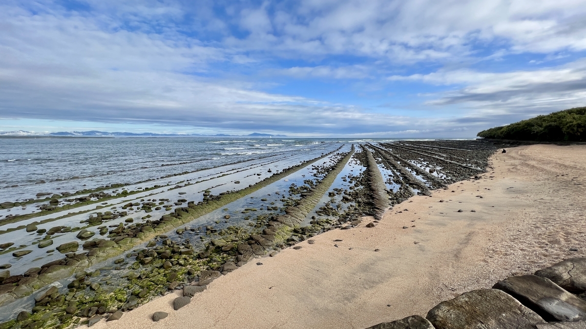 干潮時に海岸へ広がる規則的な岩の帯が続く青島の鬼の洗濯板の景色