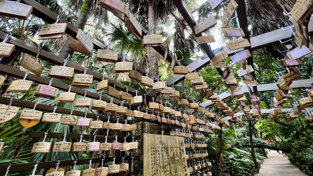 南国の植物と絵馬が重なり合う祈りの古道の通路