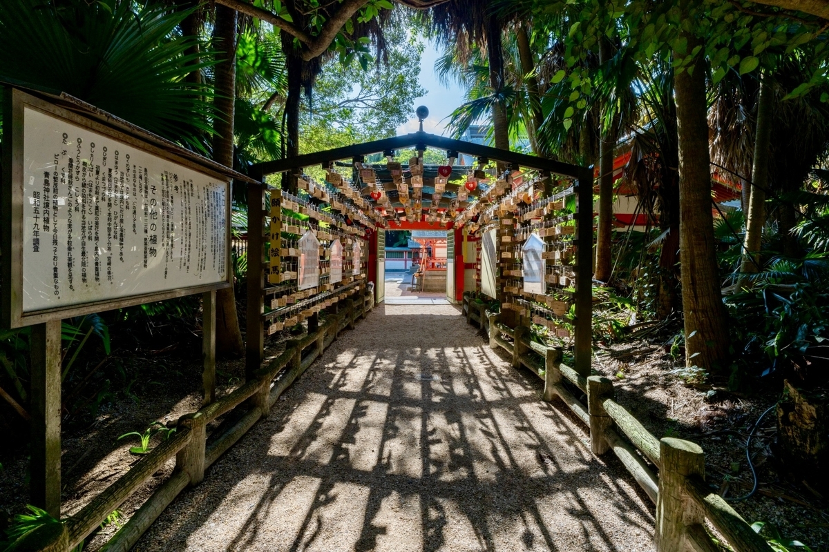 木漏れ日の差す参道に絵馬の影が広がる祈りの古道の出口側の景色