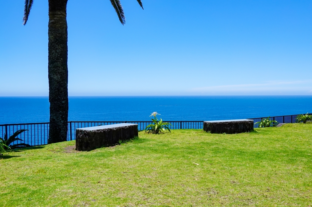 วิวกว้างของมหาสมุทรแปซิฟิกสีน้ำเงินเข้มจากลานหญ้าบริเวณจุดชมวิว