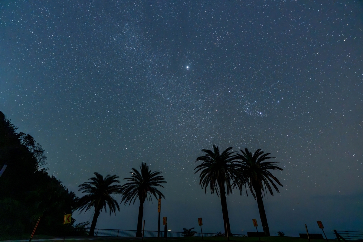 ท้องฟ้ายามค่ำคืนที่เต็มไปด้วยดาว พร้อมเงาต้นฟีนิกซ์ที่ช่องเขาโฮริคิริ