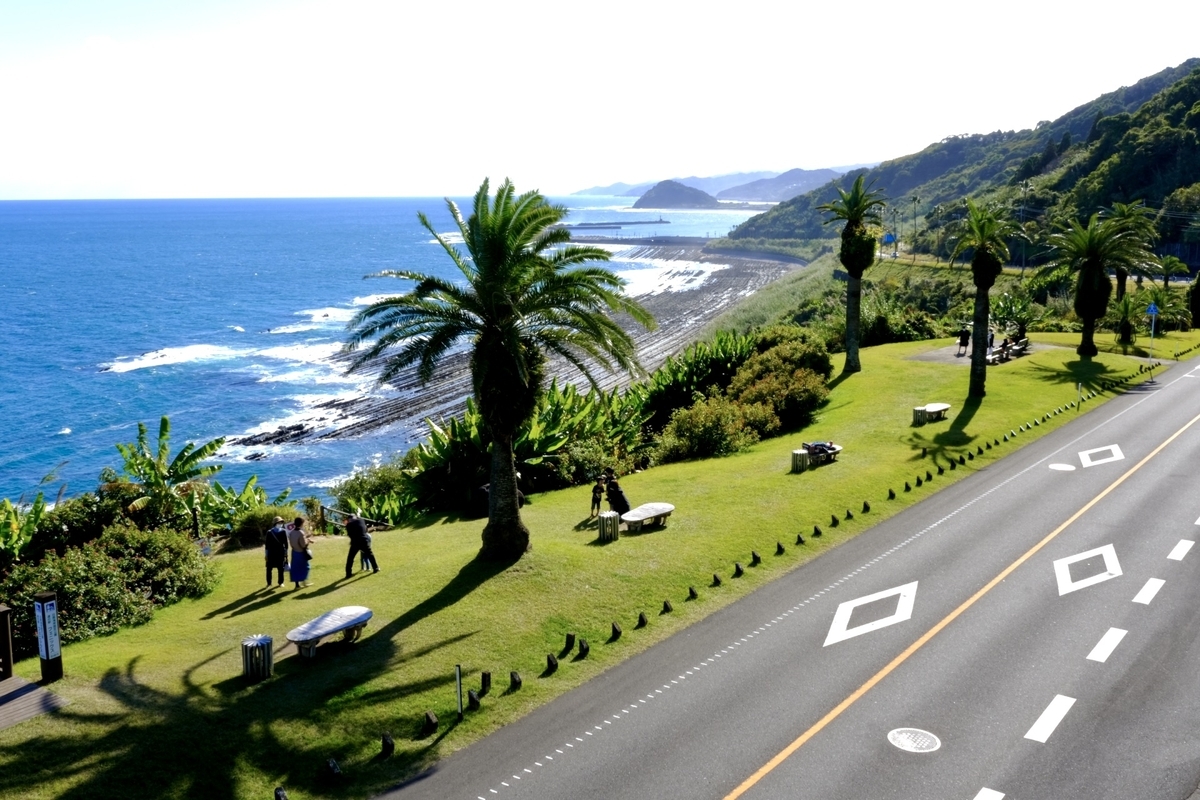 日南海岸の芝生エリアで海を眺める人々とヤシの木