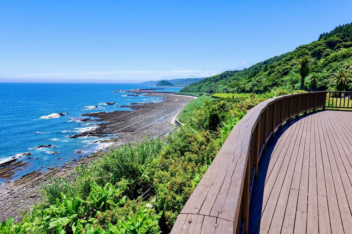 展望デッキから眺める青い太平洋と広がる鬼の洗濯板の景観