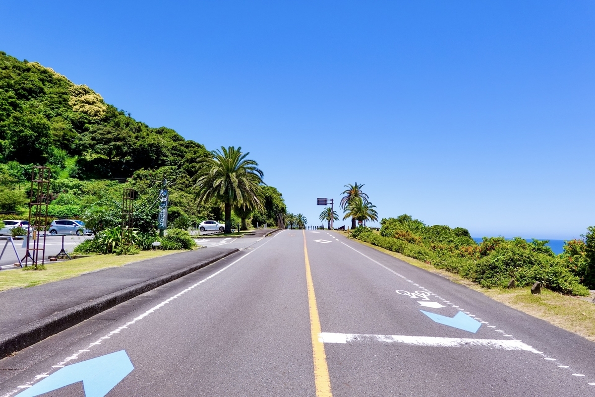 南国の木々が並ぶ日南海岸沿いの道路と晴れ渡る青空