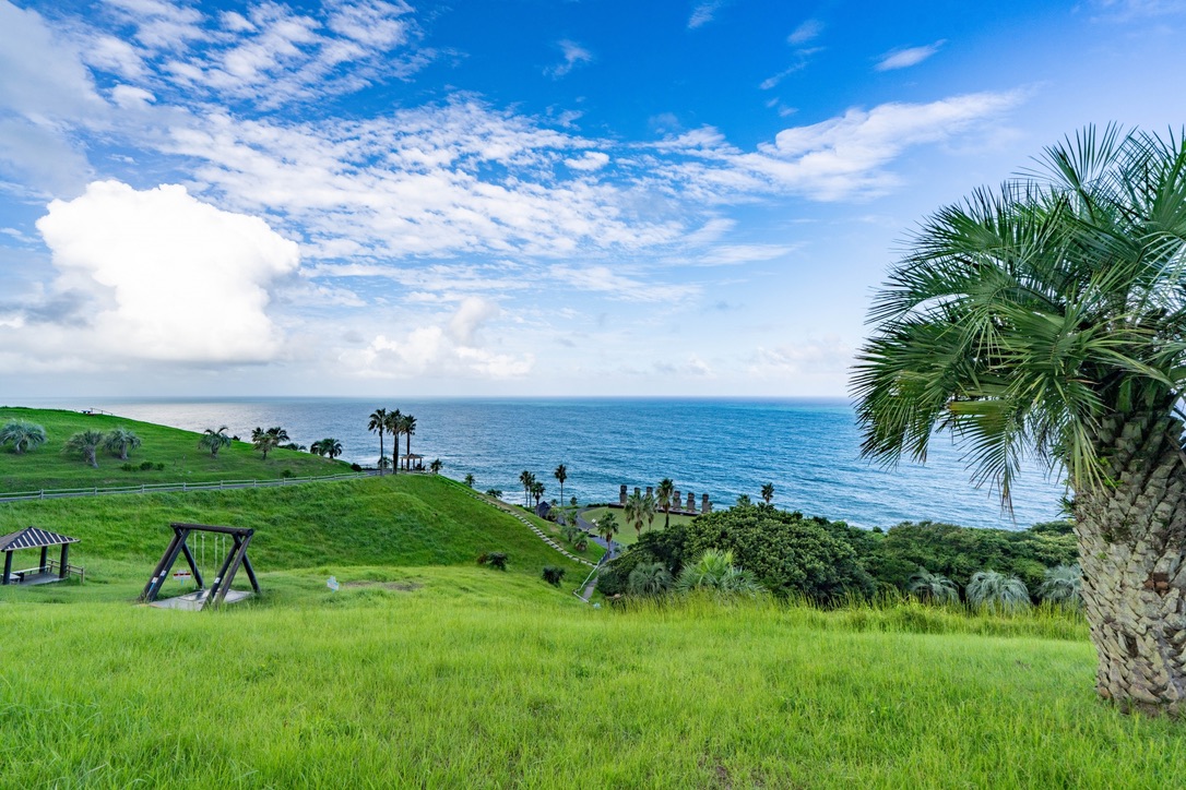 南国の木々と青い海が見渡せるサンメッセ日南の高台風景