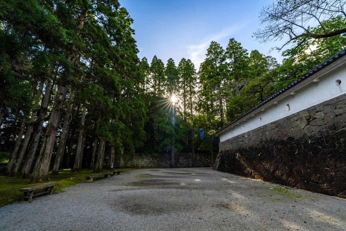 ทางเดินเงียบสงบพร้อมกำแพงดินปกคลุมมอสและป่าซีดาร์ที่ปราสาทโอบิ