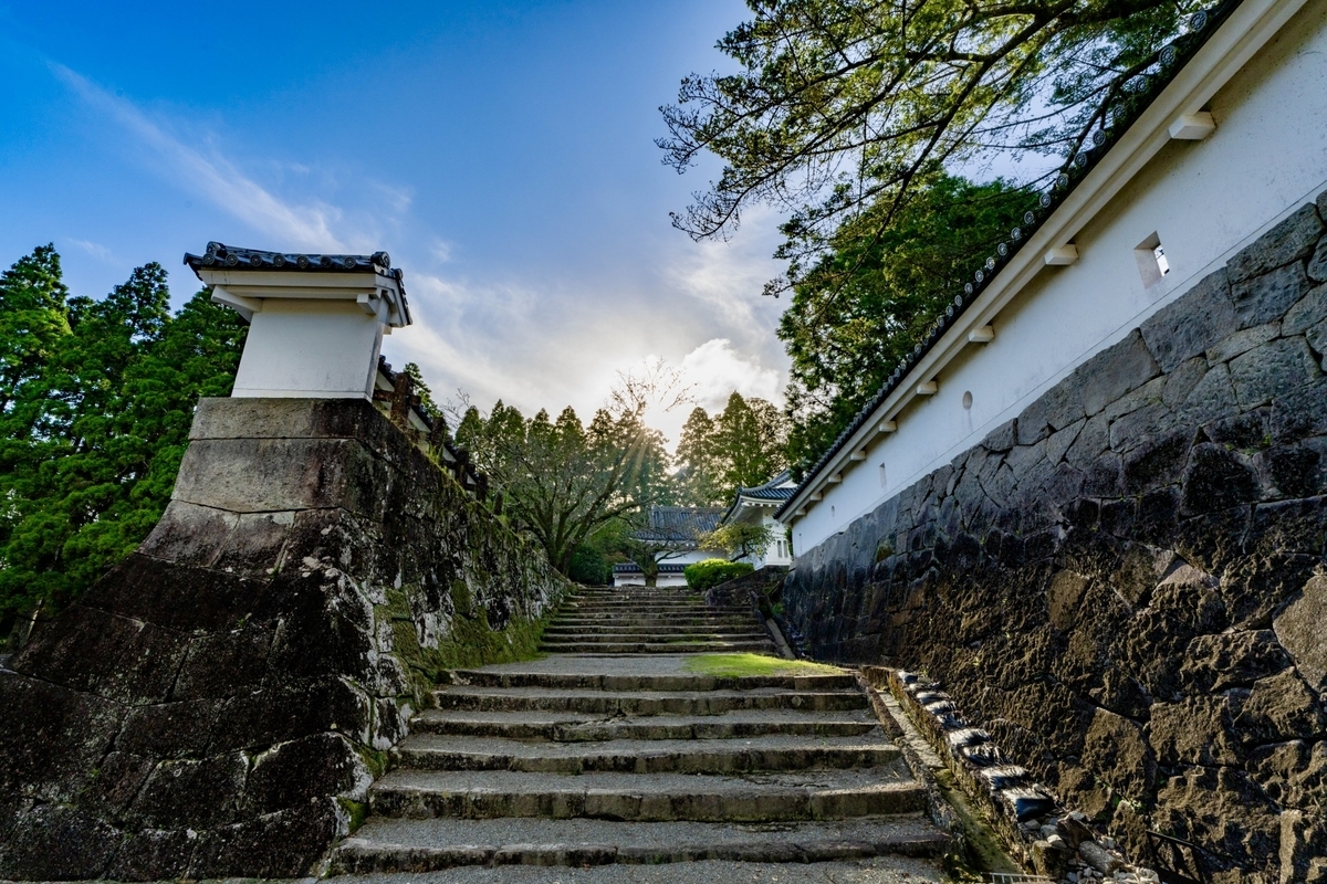 ทัศนียภาพอันสงบของปราสาทโอบิพร้อมบันไดหินนำไปสู่ป่าซีดาร์