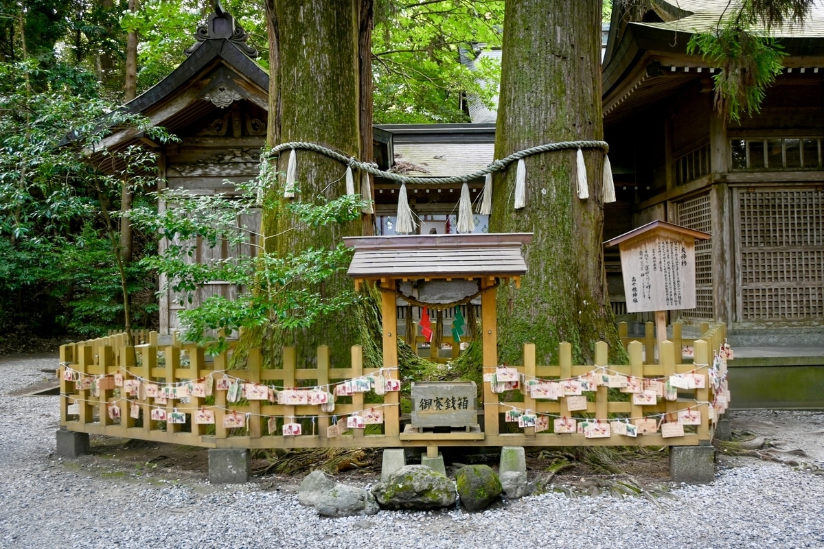 根部連為一體的高千穗神社夫妻杉和祭壇