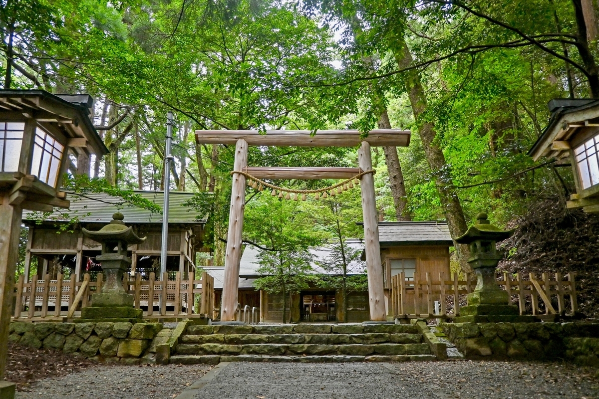 被深林环绕的东本宫入口石阶顶端的鸟居