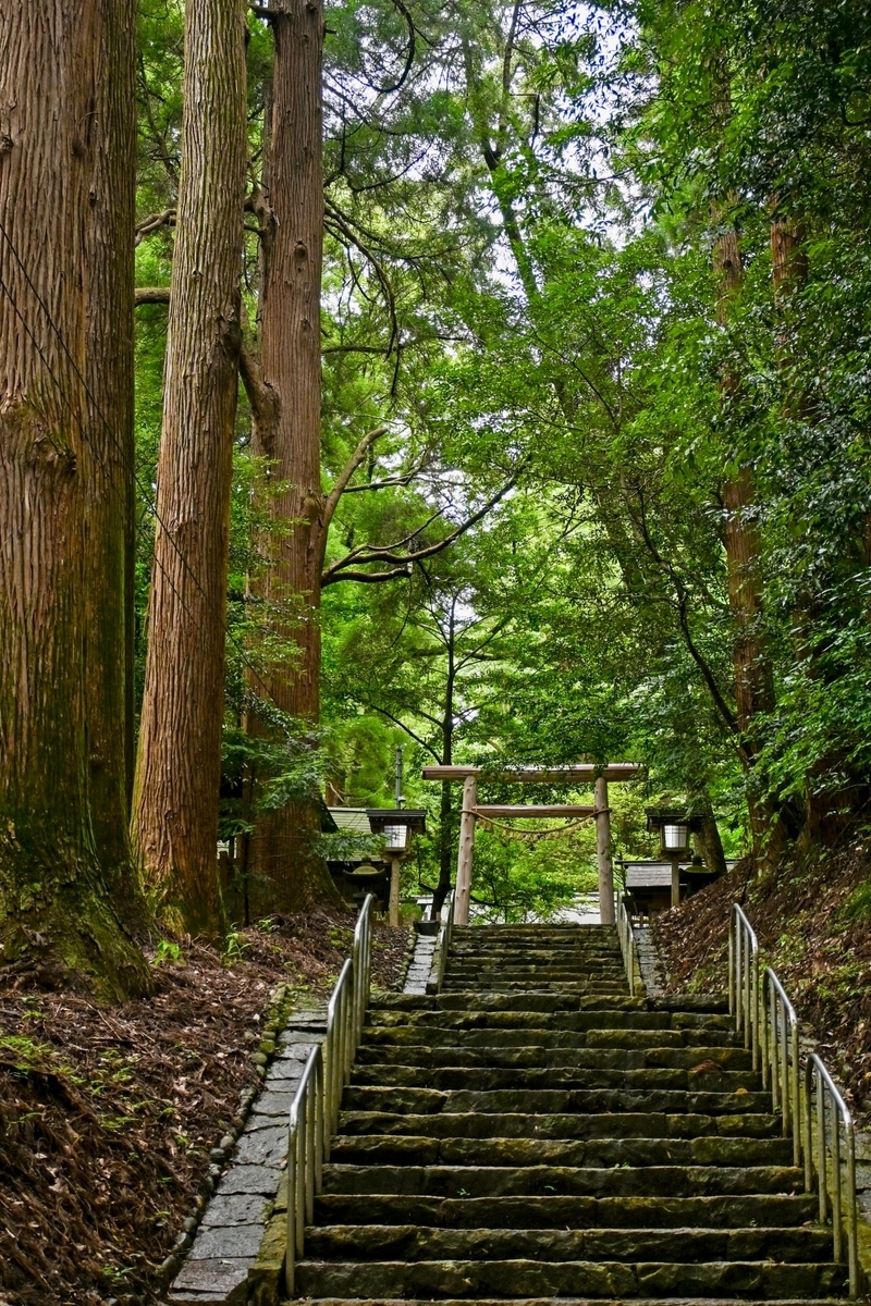 高大杉树林间通往东本宫的长石阶和鸟居